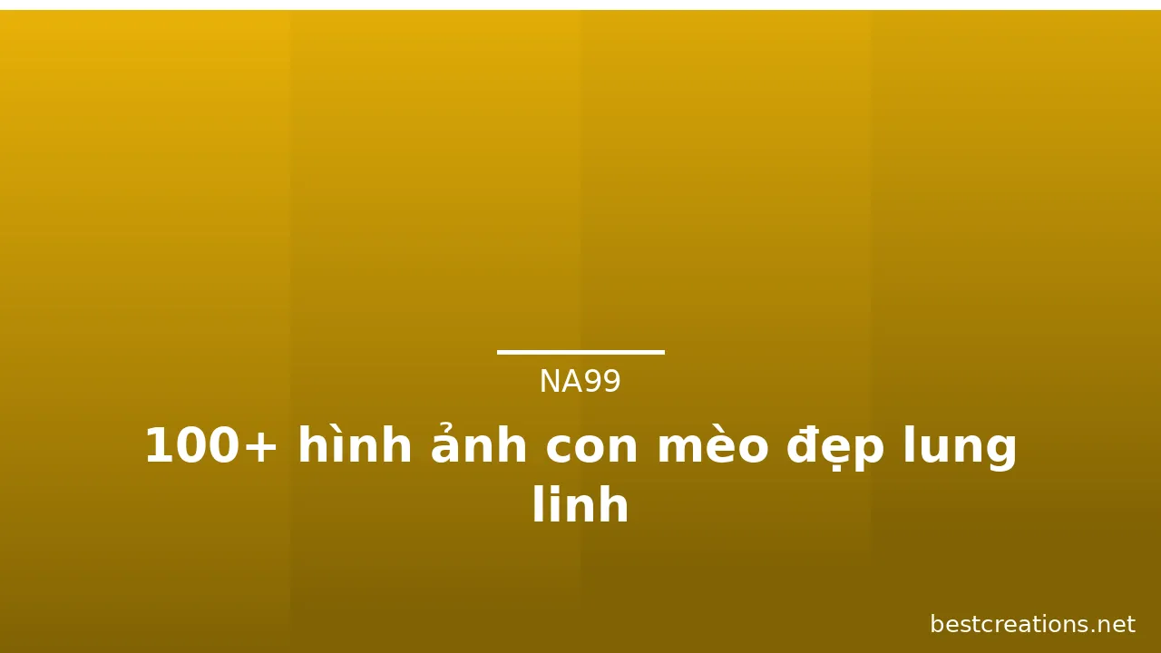 100+ hình ảnh con mèo đẹp lung linh · ảnh 2