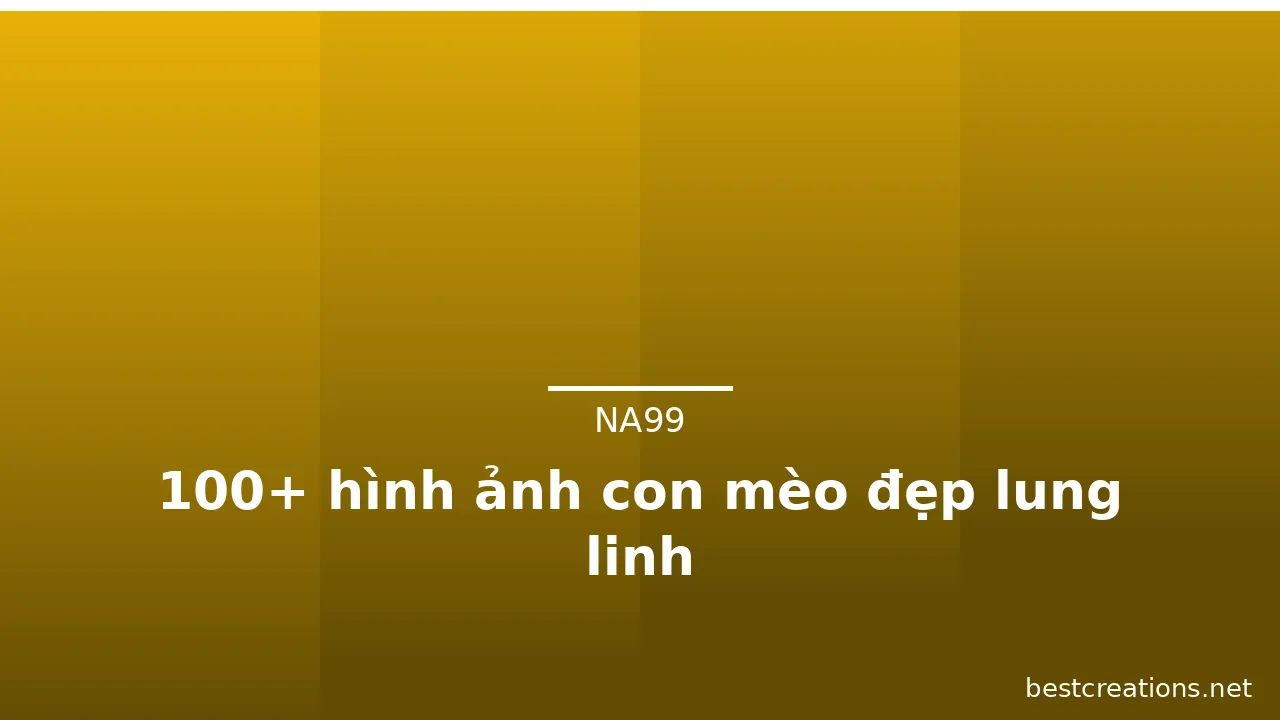 100+ hình ảnh con mèo đẹp lung linh · ảnh 3